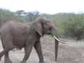 2011_06_11-25_Kenia_1609