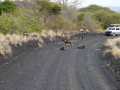 2011_06_11-25_Kenia_1708