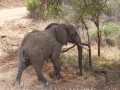 2011_06_11-25_Kenia_1869