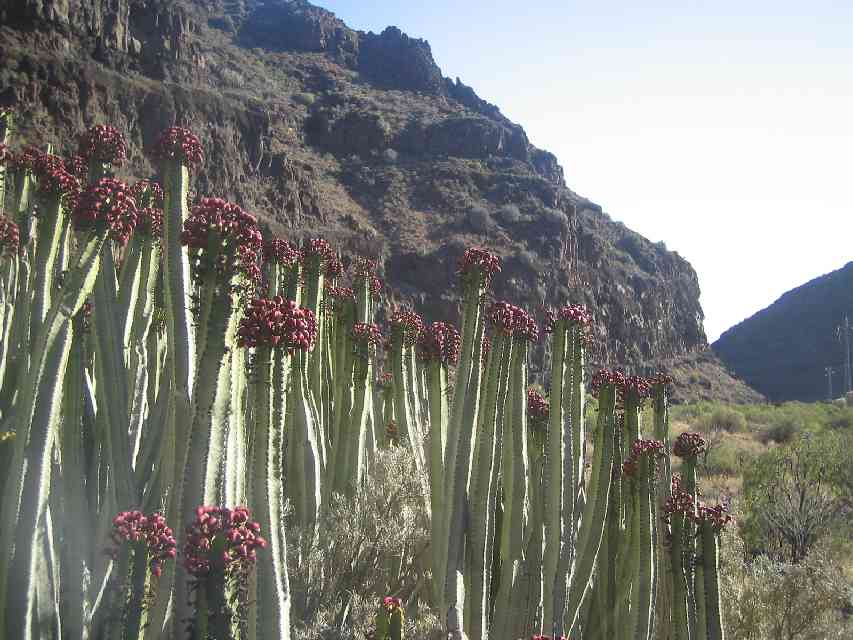 2007_05_25-28_Gran_Canaria_087